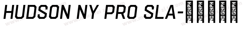 Hudson NY Pro Sla字体转换